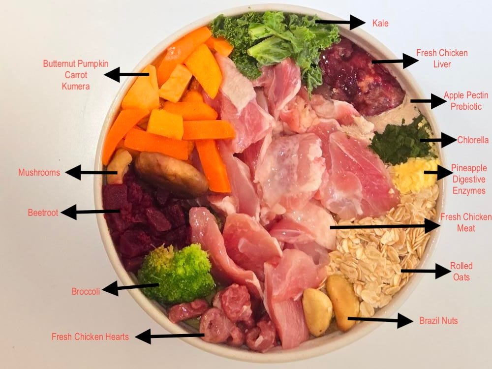 Artisan Handmade Puppy Food - Chicken, Kumera & Oats Bowl