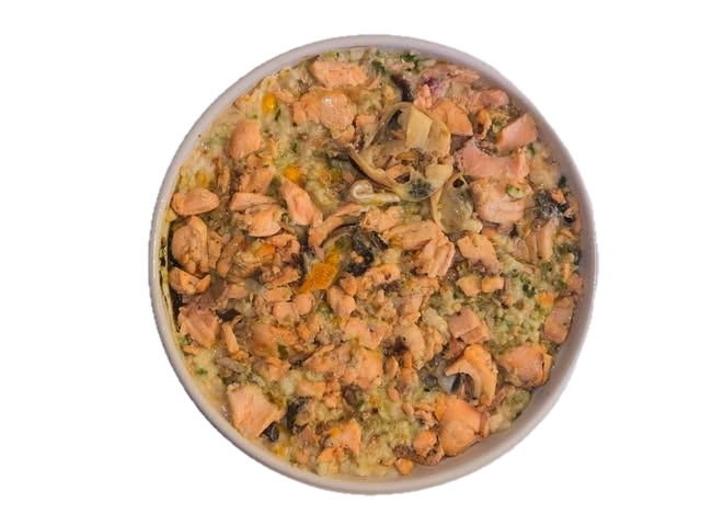 Artisan Handmade Adult Dog Food - Salmon & Kumera Bowl