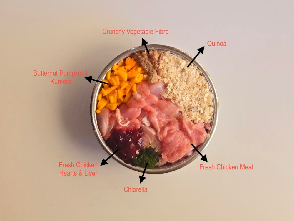 Artisan Handmade Cat Food - Chicken & Quinoa Crunch Bowl