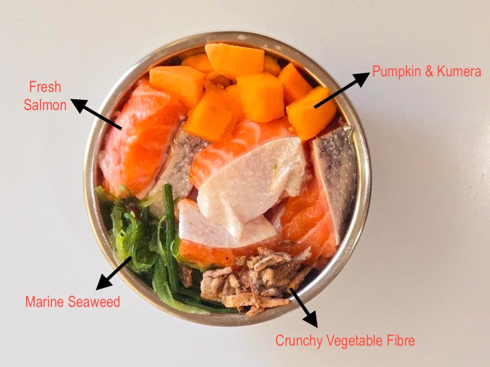 Artisan Handmade Adult Cat Food - Salmon & Pumpkin Crunch Bowl