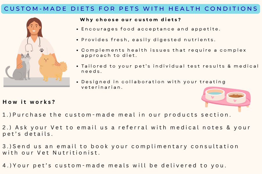 Artisan Handmade Adult Dog Food for Dogs with Health Conditions