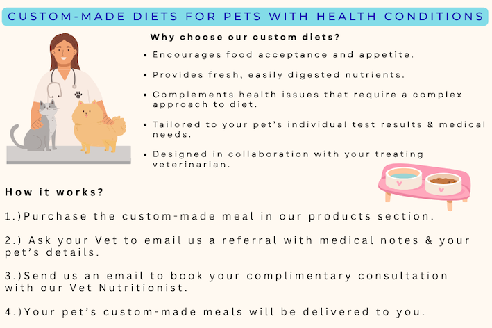Artisan Handmade Adult Cat Food for Cats with Health Conditions