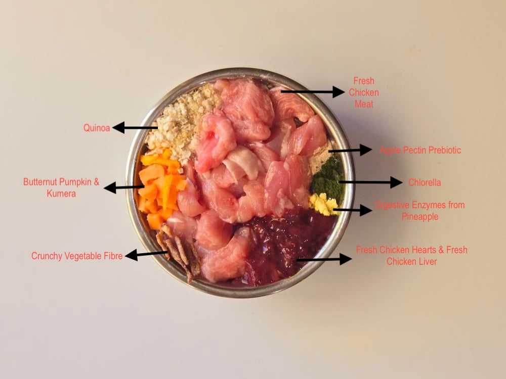 Artisan Handmade Kitten Food - Chicken & Quinoa Crunch Bowl