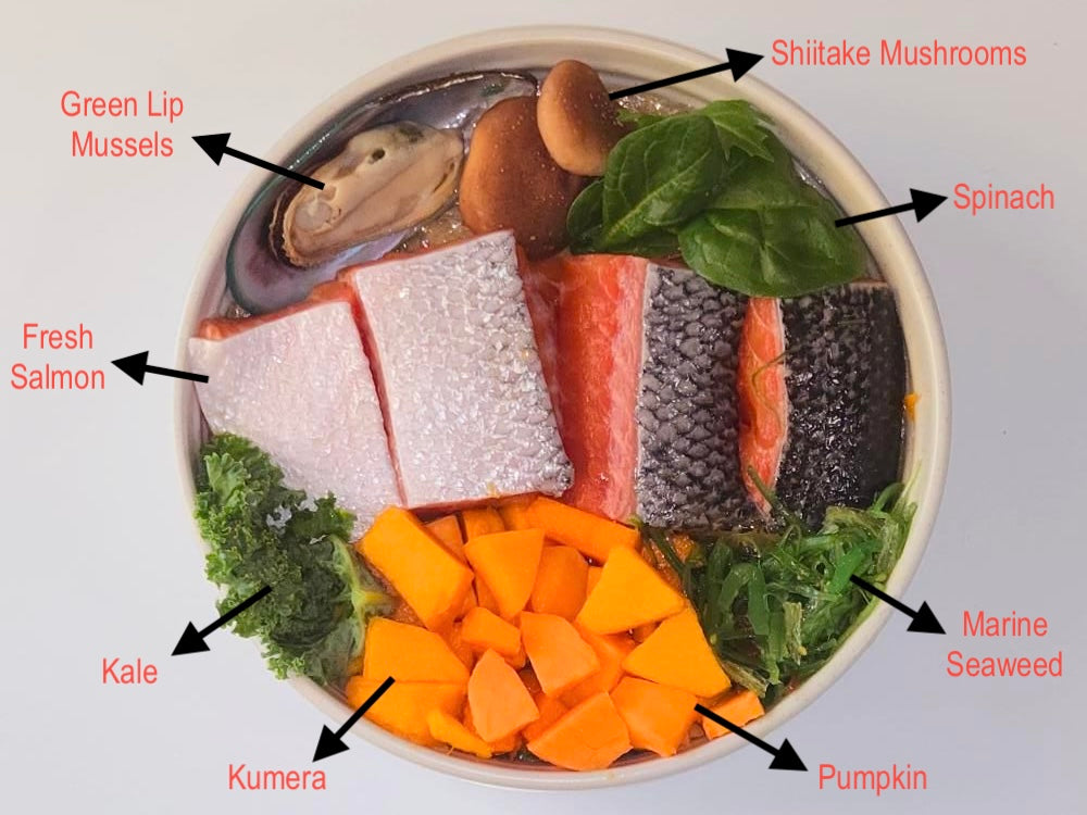 Artisan Handmade Adult Dog Food - Salmon & Kumera Bowl