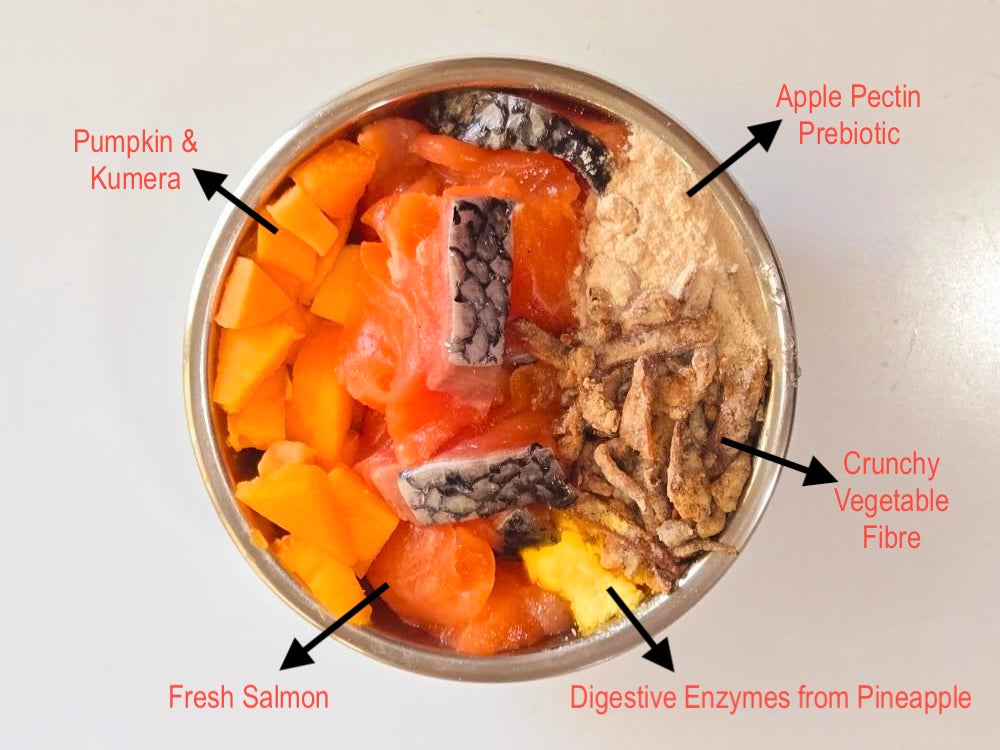 Artisan Handmade Kitten Food - Salmon & Pumpkin Crunch Bowl